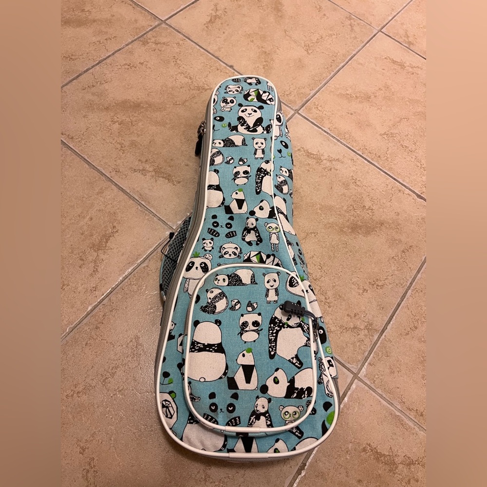Ukulele carrying case